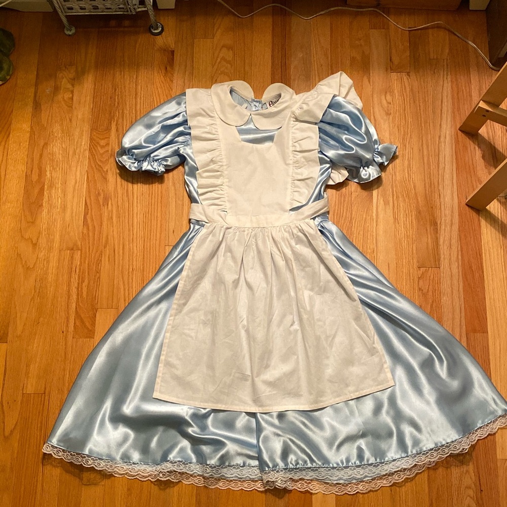 Alice in Wonderland Costume